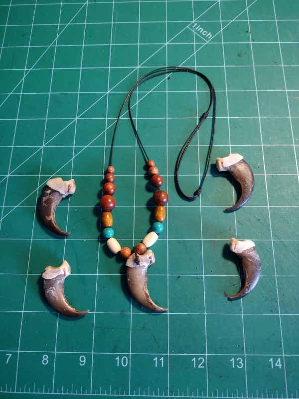 Real Bear Claw Necklaces