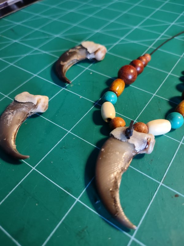 Real Bear Claw Necklaces