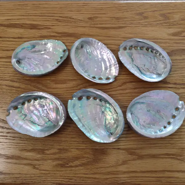 Deluxe Smudge Kit, Buffalo Leather Tray 6 Abalone shells inside