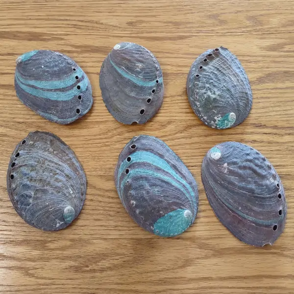 Deluxe Smudge Kit, Buffalo Leather Tray 5 Back of abalone shells