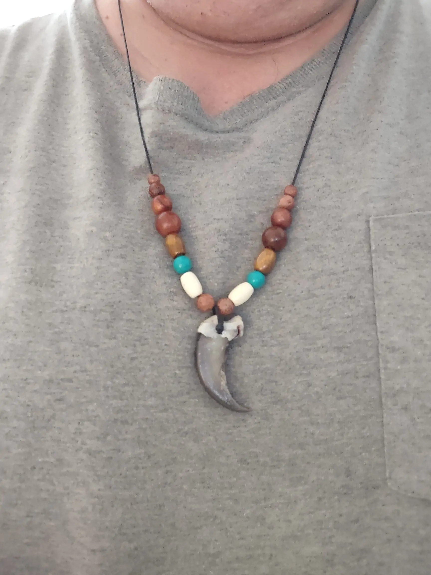Real Bear Claw Necklaces 1 Real Bear claw necklaces