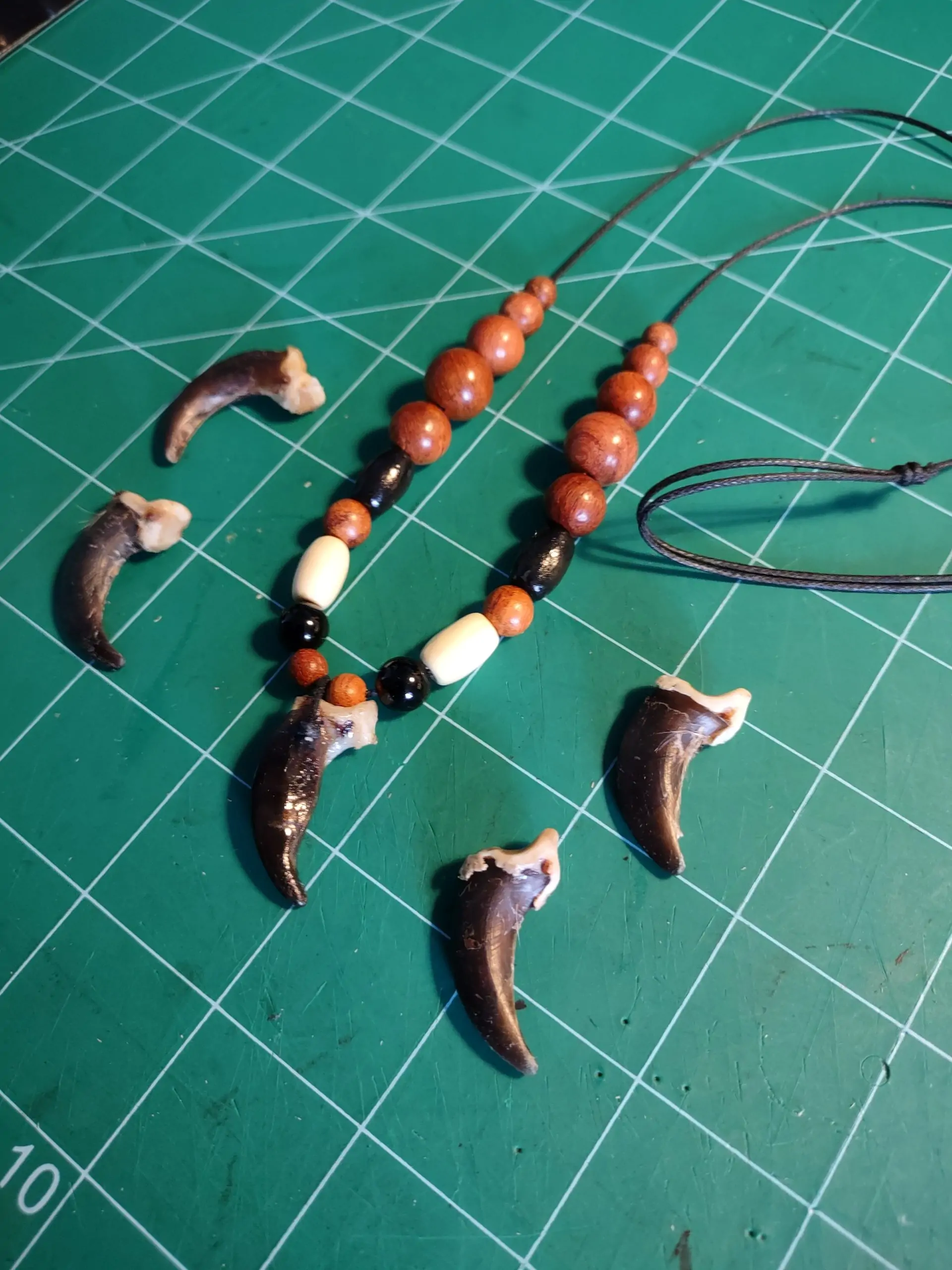 Real Wolf Claw Necklaces 3 Wolf Claws, Wolf Claw Necklace
